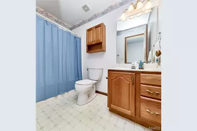 207 Sassafras Parc Drive, O'Fallon, MO 63368 - Photo 49