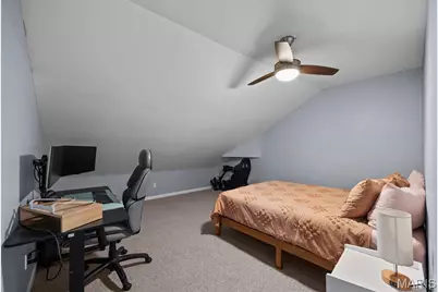 2869 Missouri Avenue, Saint Louis, MO 63118 - Photo 29