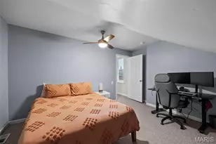 2869 Missouri Ave, Saint Louis, MO 63118 - Photo 29