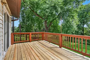 1297 Tracy Ln, Saint Louis, MO 63125 - Photo 33