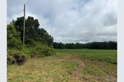 Tract 1 Bcr 810, Glendale, MO 63645 - Photo 21