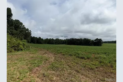 Tract 1 Bcr 810, Glendale, MO 63645 - Photo 23