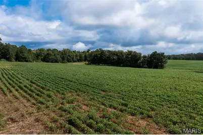 Tract 1 Bcr 810, Glendale, MO 63645 - Photo 13