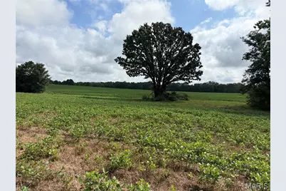 Tract 1 Bcr 810, Glendale, MO 63645 - Photo 19