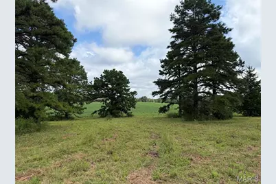 Tract 1 Bcr 810, Glendale, MO 63645 - Photo 15