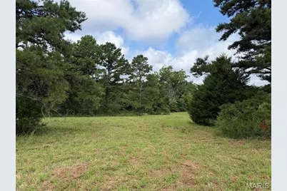 Tract 1 Bcr 810, Glendale, MO 63645 - Photo 17