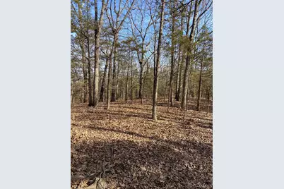 1501 Donover Lane, Festus, MO 63028 - Photo 69