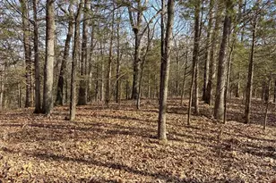 1501 Donover Ln, Festus, MO 63028 - Photo 69