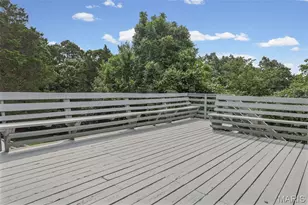 1501 Donover Ln, Festus, MO 63028 - Photo 53
