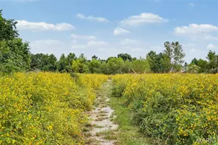 7523 Cinnamon Teal Dr, O'Fallon, MO 63368 - Photo 39