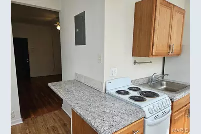 5667 Waterman Boulevard #1S, Saint Louis, MO 63112 - Photo 3