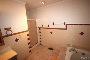 208 N Valle St, Pilot Knob, MO 63663 - Photo 13