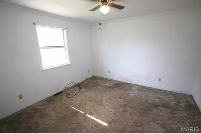 208 N Valle Street, Pilot Knob, MO 63663 - Photo 15
