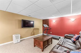 62 Pearl Dr, Hillsboro, MO 63050 - Photo 43