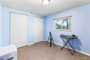 62 Pearl Dr, Hillsboro, MO 63050 - Photo 51