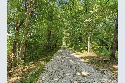 30998 Hutchison Road, Lebanon, MO 65536 - Photo 19