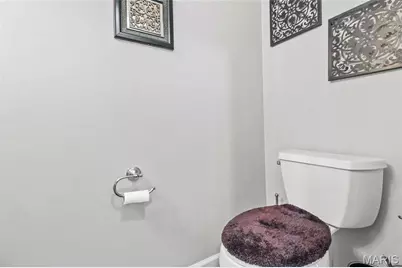 1625 Emerald Creek Drive, Florissant, MO 63031 - Photo 31