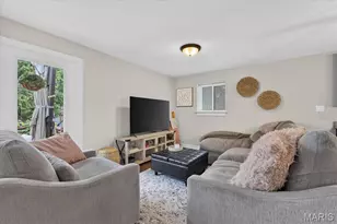 3320 Missouri Ave, Saint Louis, MO 63118 - Photo 15
