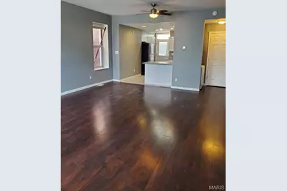 3801 Folsom Avenue, Saint Louis, MO 63110 - Photo 3