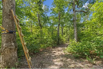 19846 St Moritz, Marthasville, MO 63357 - Photo 33