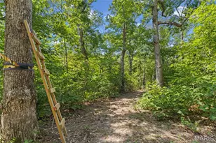 19846 St Moritz, Marthasville, MO 63357 - Photo 33
