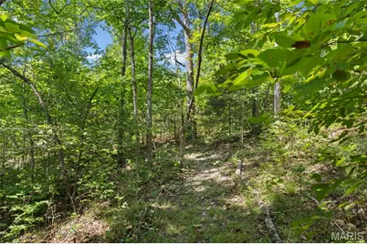 19846 St Moritz, Marthasville, MO 63357 - Photo 37