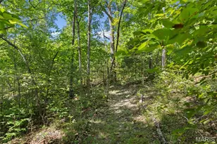 19846 St Moritz, Marthasville, MO 63357 - Photo 37
