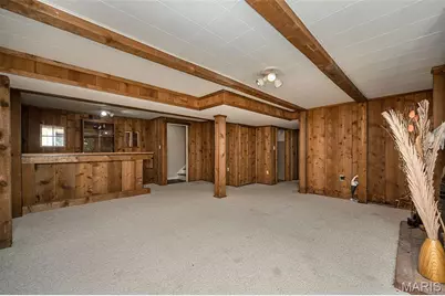 11063 Thousand Oaks Drive, Saint Louis, MO 63136 - Photo 21