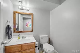 4483 Mockingbird Ln, Hillsboro, MO 63050 - Photo 29