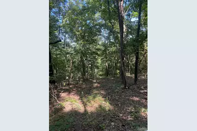 000 Aspen Road, Richwoods, MO 63071 - Photo 3