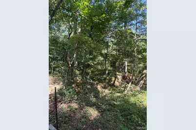 000 Aspen Road, Richwoods, MO 63071 - Photo 19