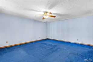1530 Marseilles Dr, Bonne Terre, MO 63628 - Photo 49