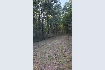 1212 Cedar Grove Road, Bonne Terre, MO 63628 - Photo 15