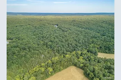 1212 Cedar Grove Road, Bonne Terre, MO 63628 - Photo 11