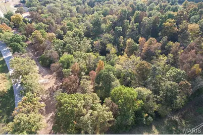 183 Sydnorville Rd. - Lot 21, Troy, MO 63379 - Photo 3
