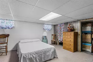 734 Janey Dr, Farmington, MO 63640 - Photo 25