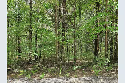 9480 Bent Tree Drive, Hillsboro, MO 63050 - Photo 1