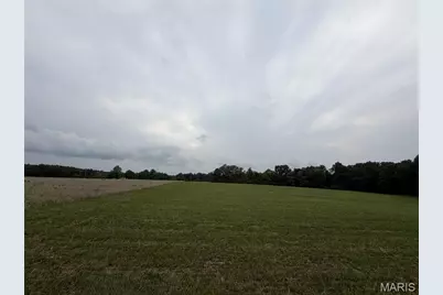 38.69 Acres Hickory Lick Rd., Wright City, MO 63390 - Photo 3