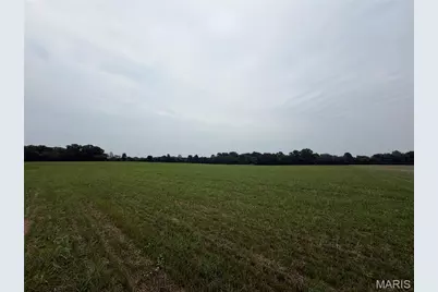 38.69 Acres Hickory Lick Rd., Wright City, MO 63390 - Photo 1