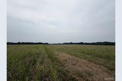 38.69 Acres Hickory Lick Rd., Wright City, MO 63390 - Photo 5