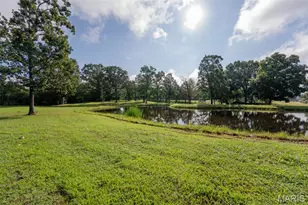 1115 County Road 754, New Melle, MO 65013 - Photo 7