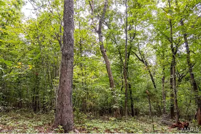 00 Hiawatha Drive, Grover, MO 65078 - Photo 29