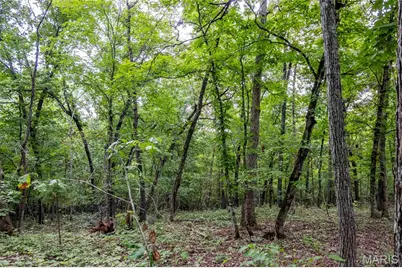 00 Hiawatha Drive, Grover, MO 65078 - Photo 13