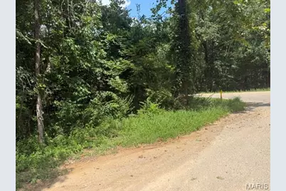 9363 Peartree Drive, Bonne Terre, MO 63628 - Photo 3