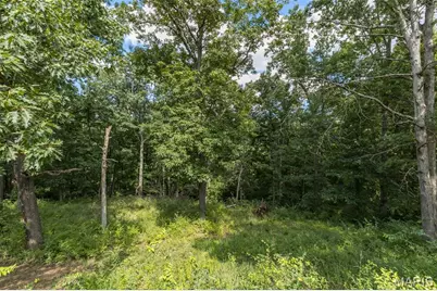 653 Butternut Lane, Arnold, MO 63010 - Photo 69