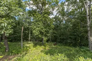 653 Butternut Ln, Arnold, MO 63010 - Photo 69