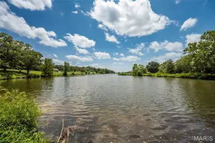 415 Lilac Ln, Saint Clair, MO 63077 - Photo 43