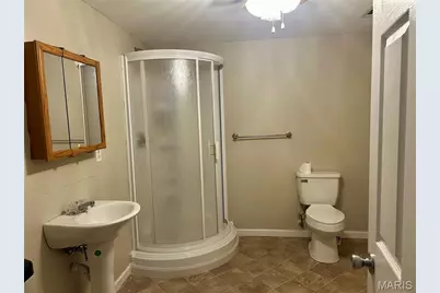 204 Buchanan Street, Bonne Terre, MO 63628 - Photo 23