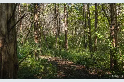 27.94 Ac 00 State Hwy Zz, Robertsville, MO 65066 - Photo 31