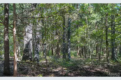 27.94 Ac 00 State Hwy Zz, Robertsville, MO 65066 - Photo 35